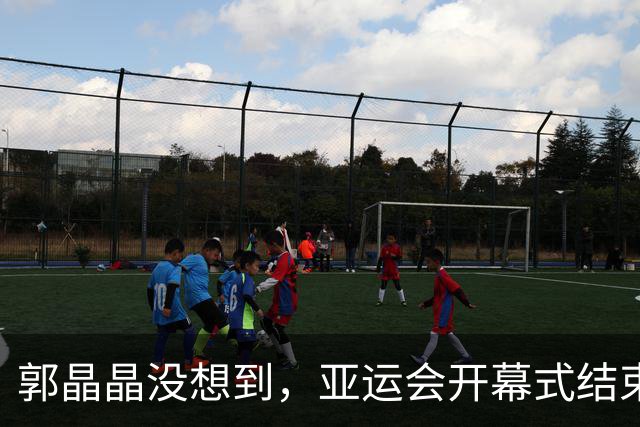 郭晶晶没想到，亚运会开幕式结束当天，丈夫霍启刚因一举动口碑暴涨