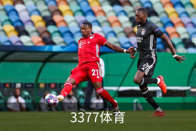 3377体育公司介绍图片